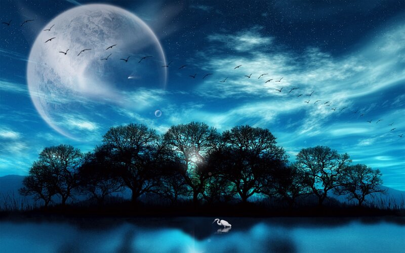 Moonlit lake with birds