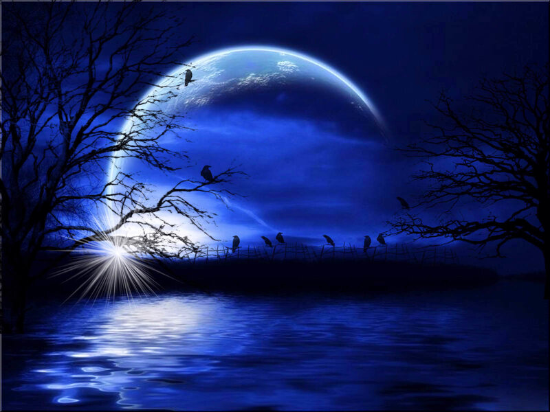 Moonlit lake with birds