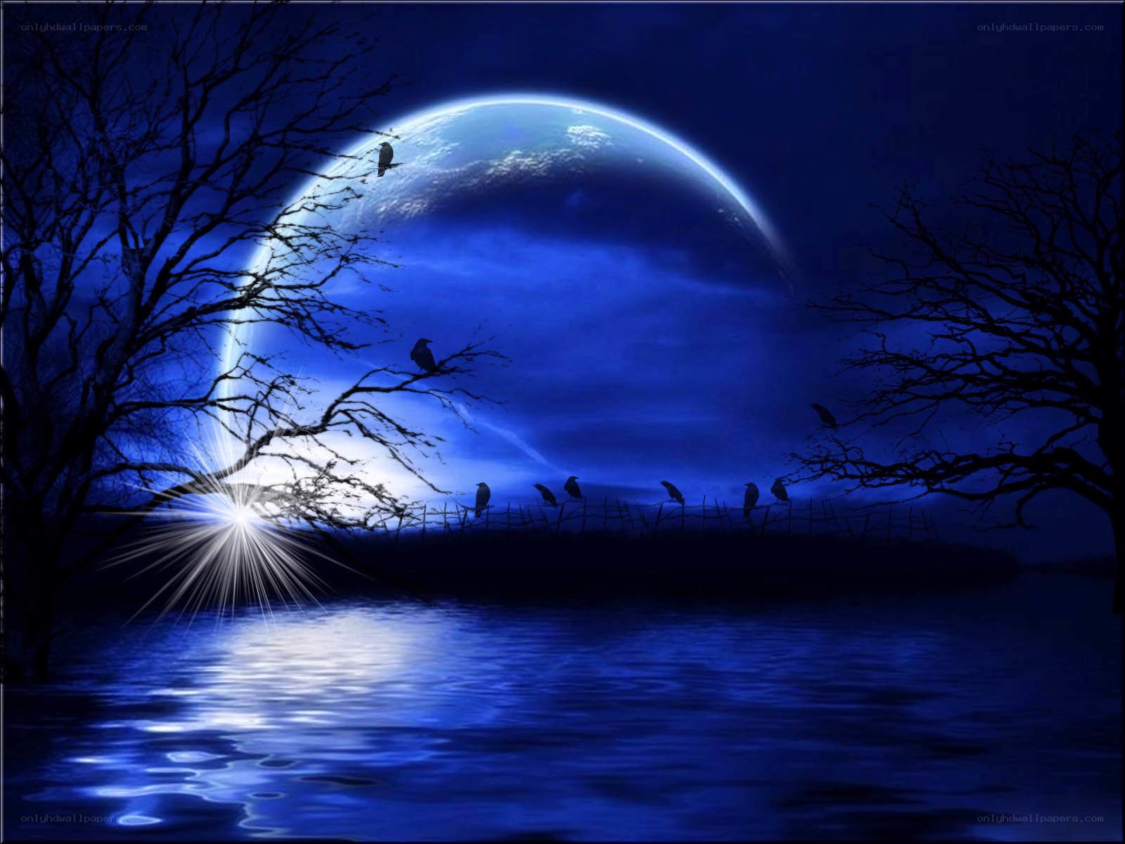 Moonlit lake with birds