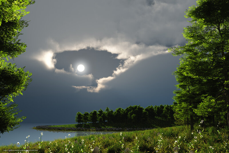 Moonlit lake with dandelions