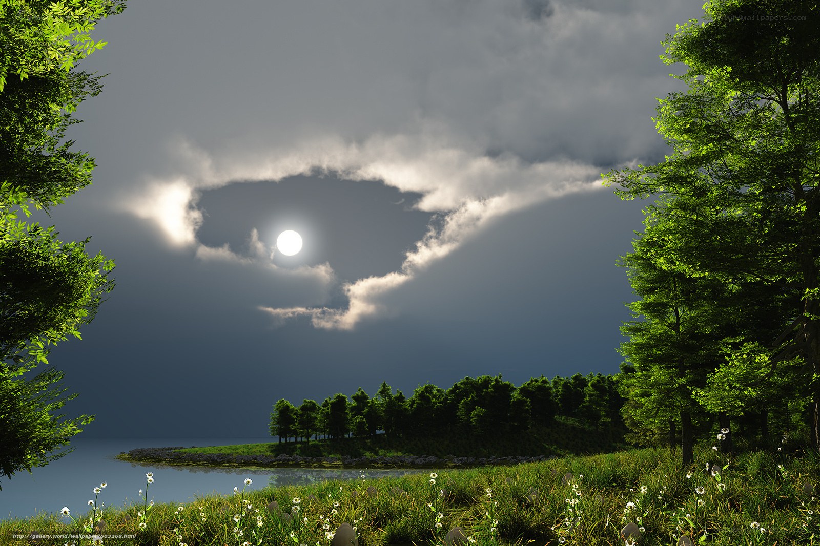 Moonlit lake with dandelions
