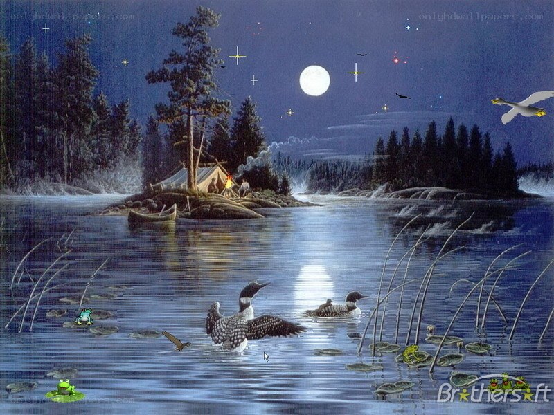 Moonlit lake with loons and campfire