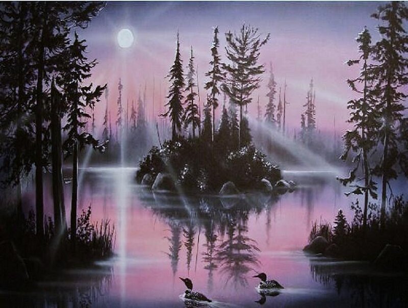 Moonlit lake with loons