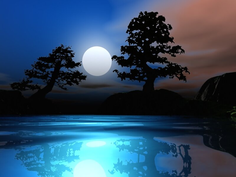 Moonlit lake with silhouetted trees