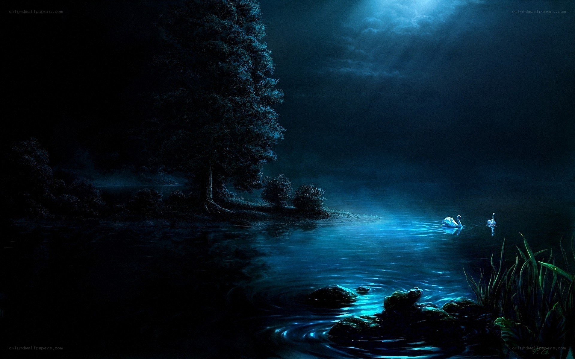 Moonlit lake with swans