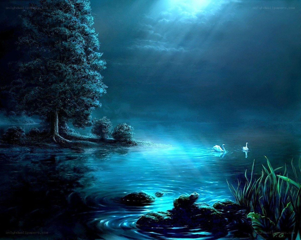 Moonlit lake with swans