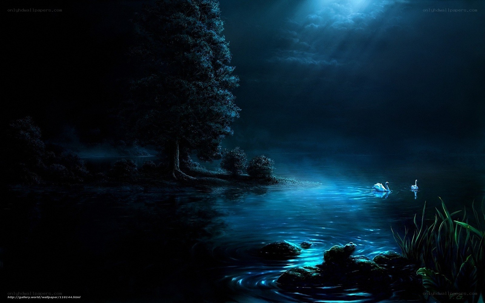 Moonlit lake with swans