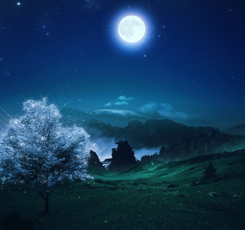 Moonlit landscape with glowing tree