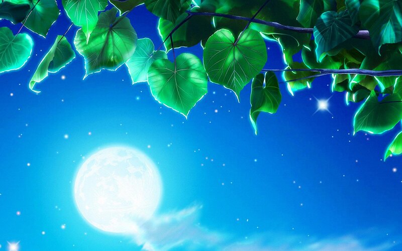 Moonlit Leaves at Night