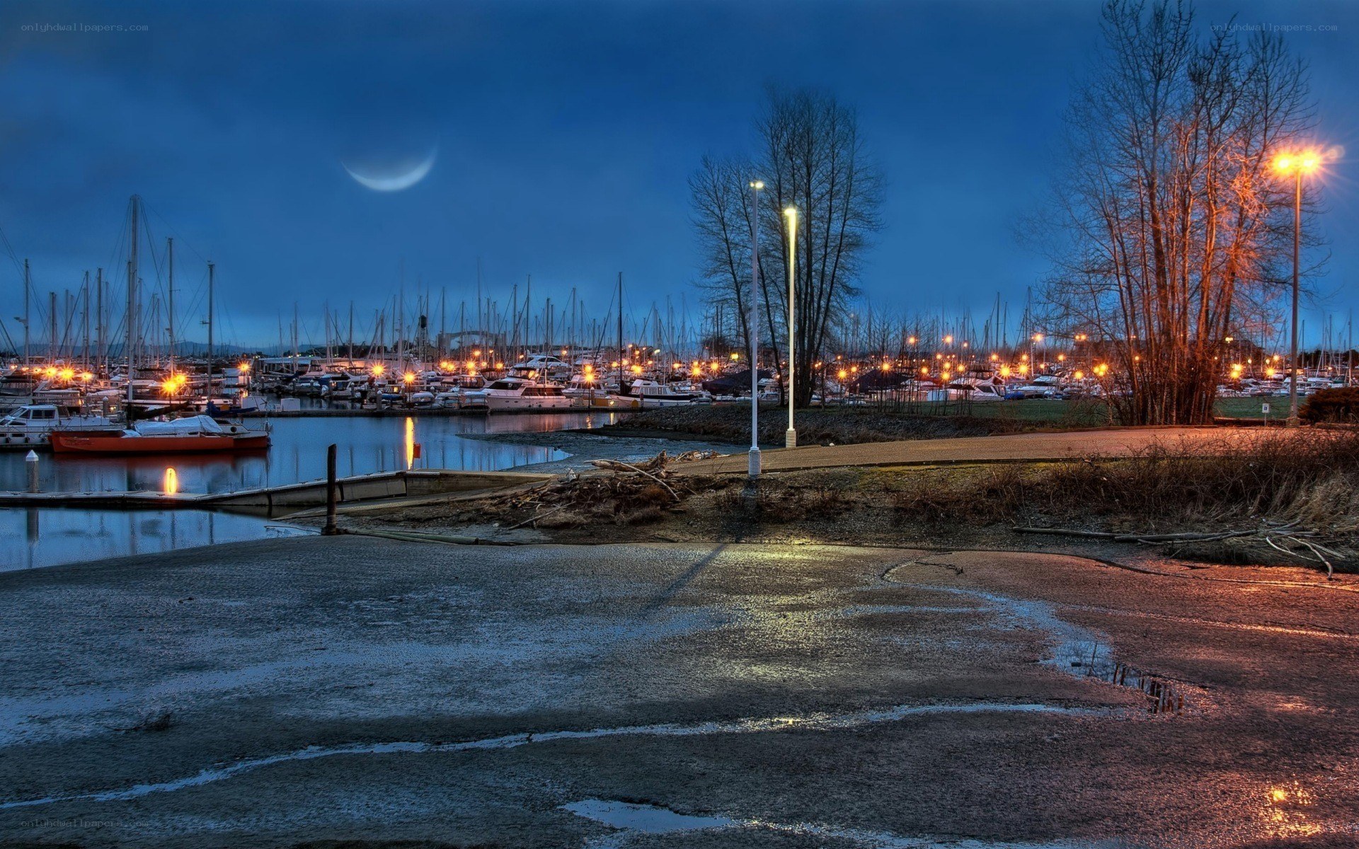 Moonlit marina at dusk