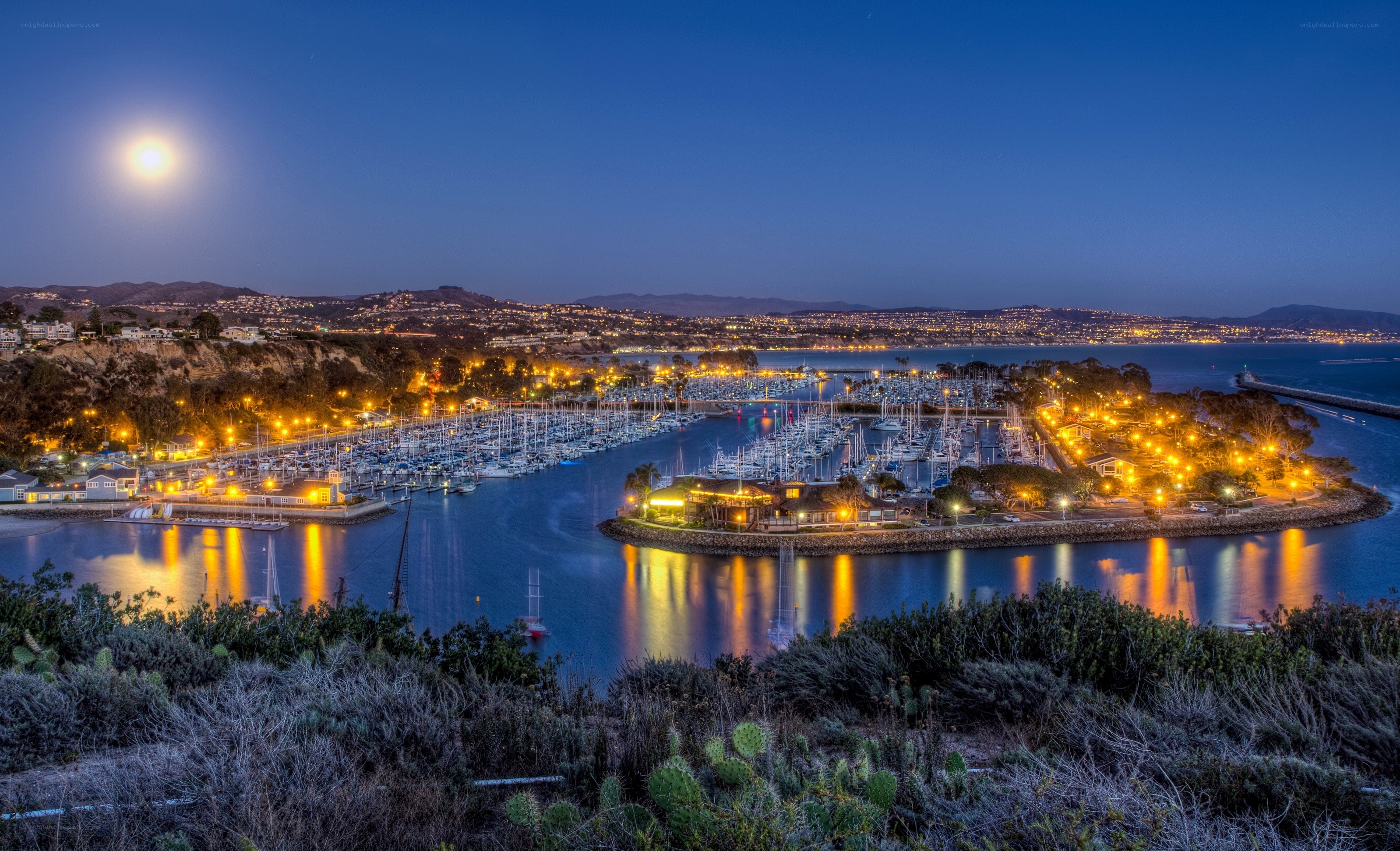 Moonlit marina at dusk
