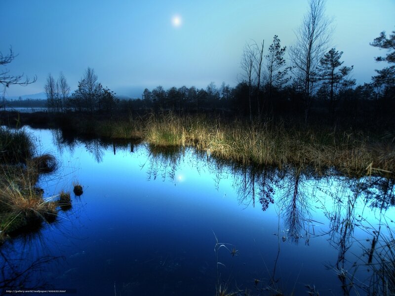 Moonlit Marsh at Dusk