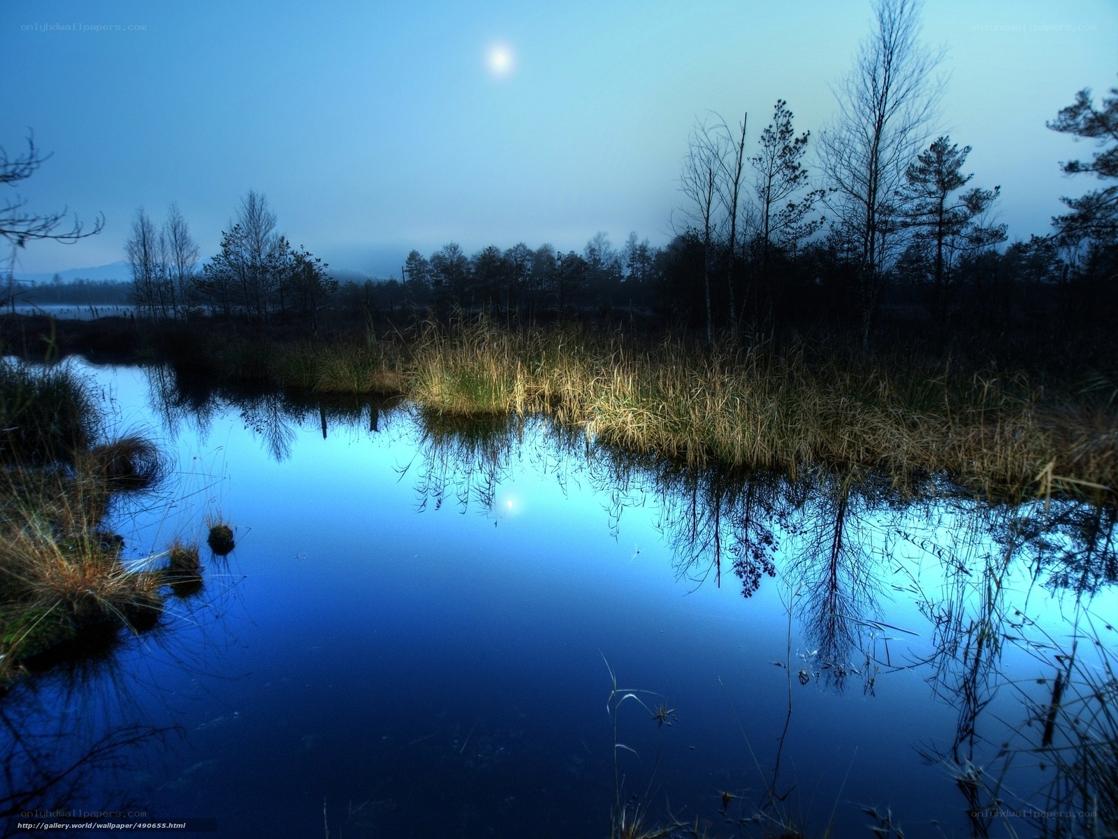 Moonlit Marsh at Dusk