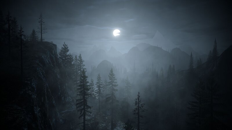moonlit mountain forest