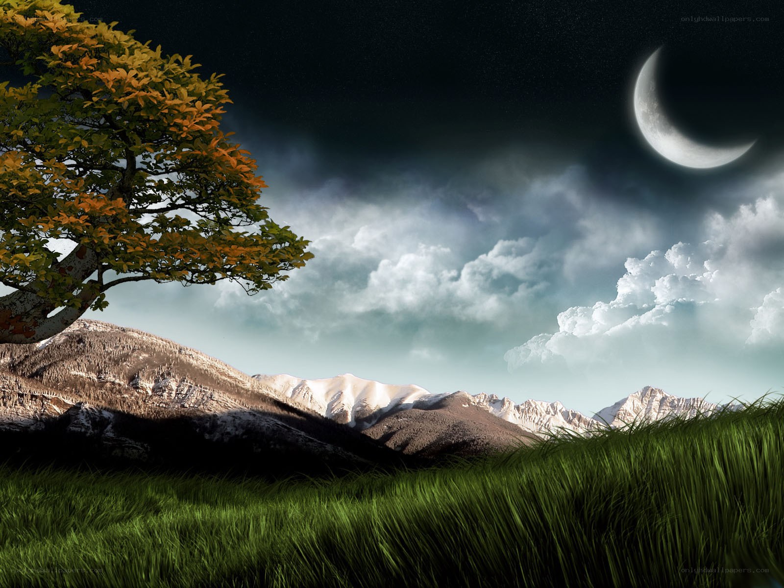 Moonlit mountain landscape