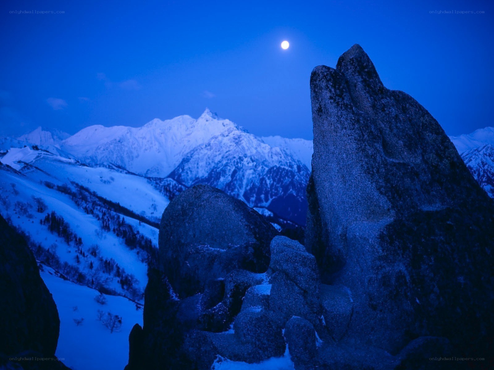 Moonlit mountain landscape