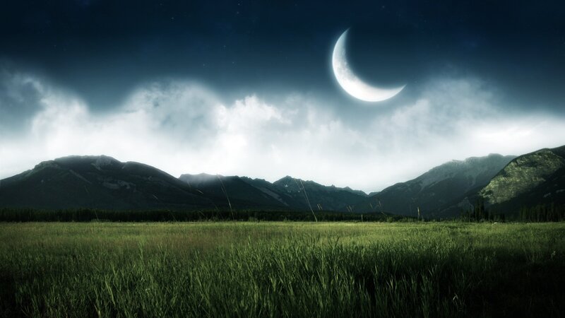 Moonlit mountain meadow