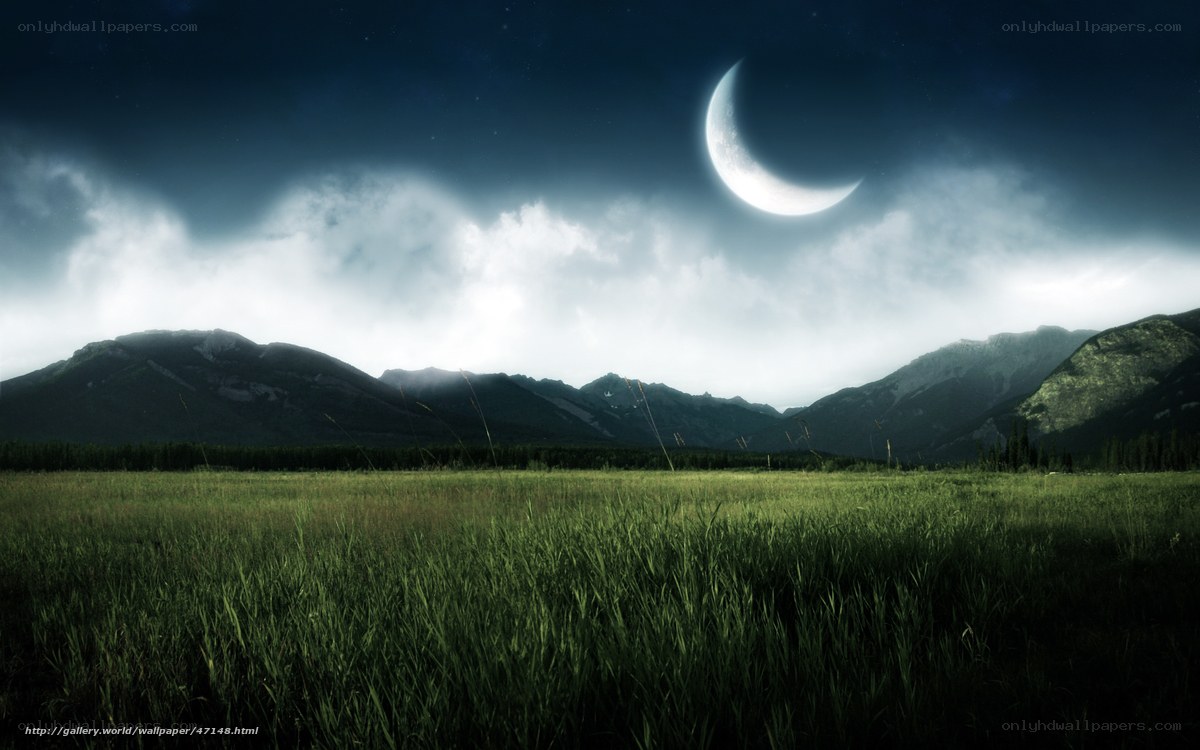 Moonlit mountain meadow