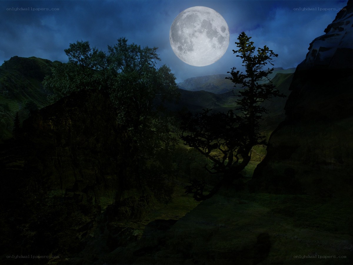 Moonlit mountain valley