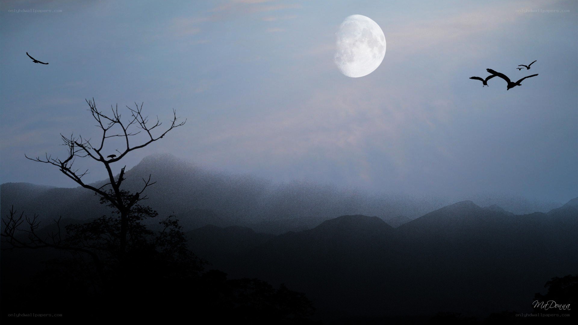 Moonlit mountains with birds