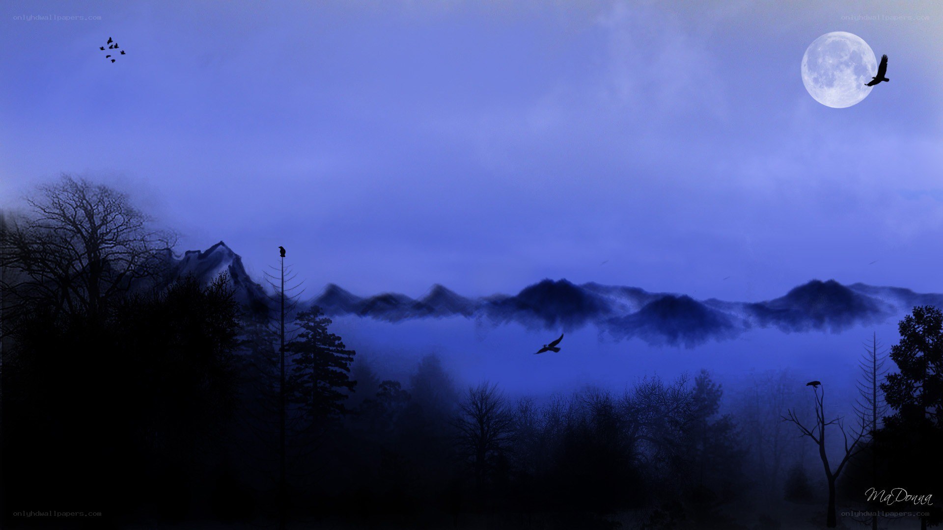 Moonlit mountains with flying birds