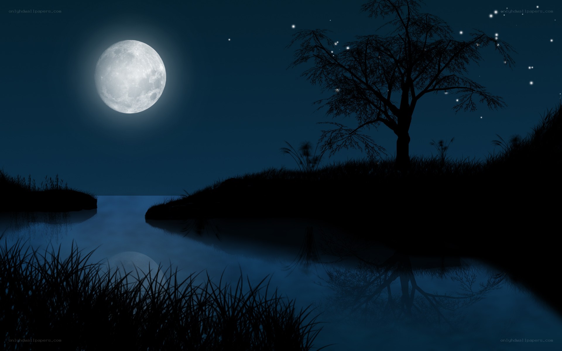 Moonlit night by the river