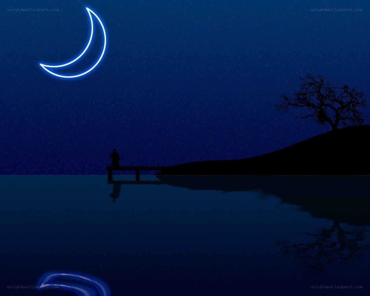 Moonlit night by the water