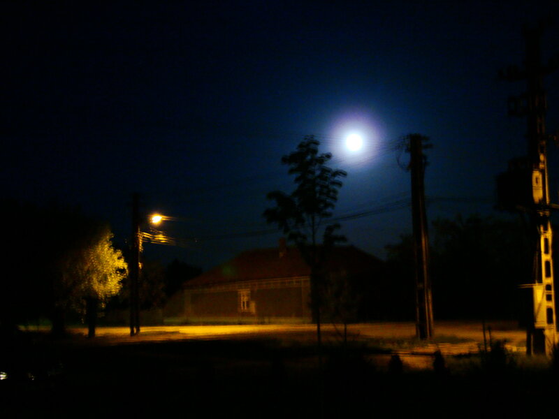 Moonlit night in a quiet village