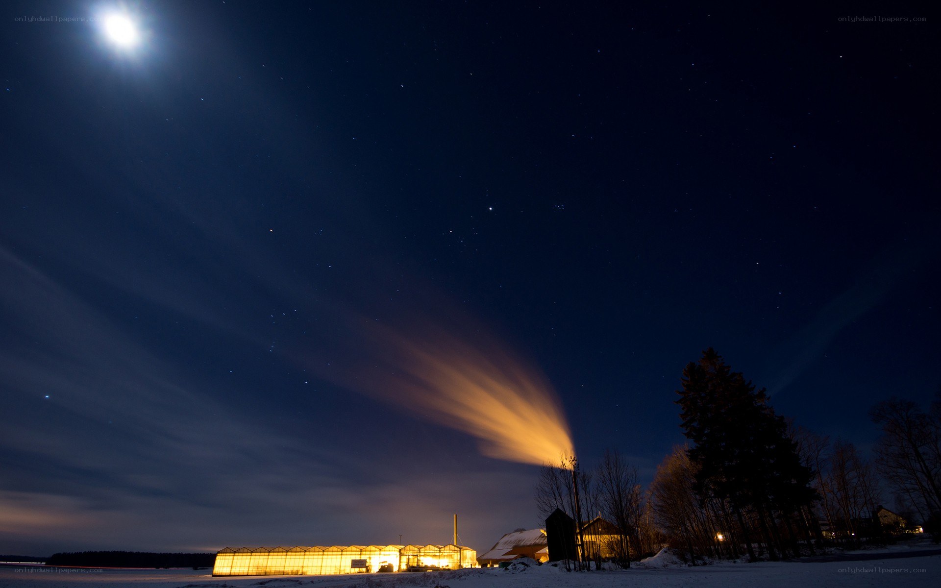 Moonlit night over a greenhouse