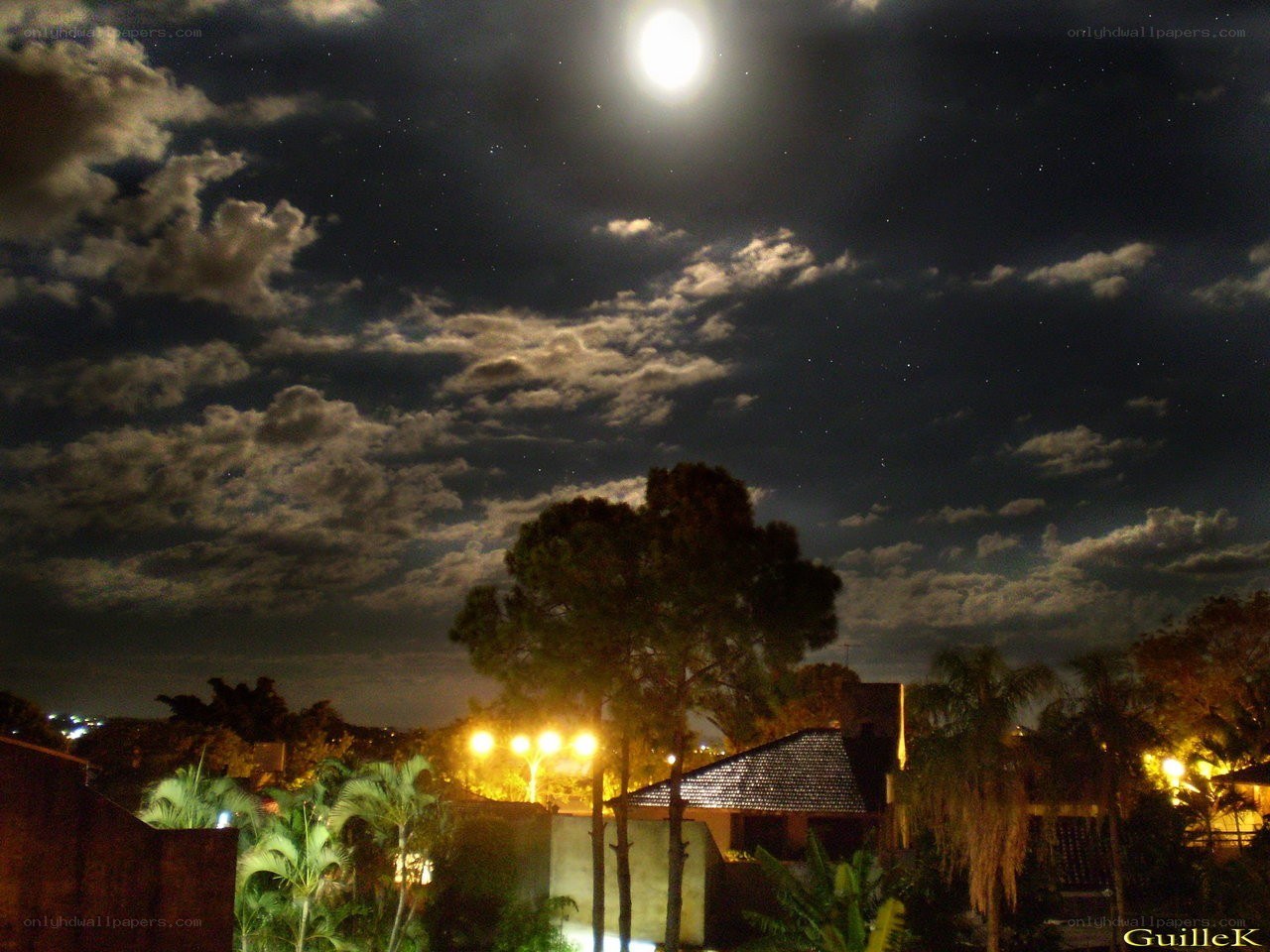Moonlit night over a residential area