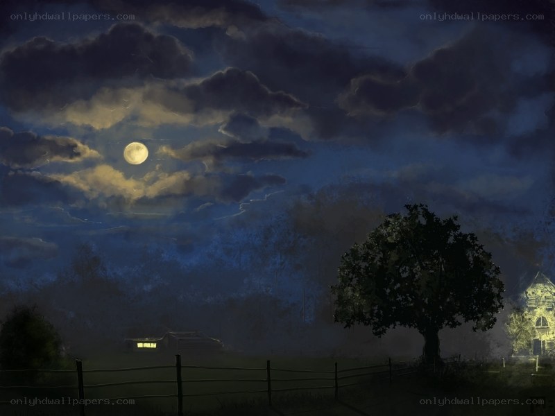 Moonlit night over a rural landscape