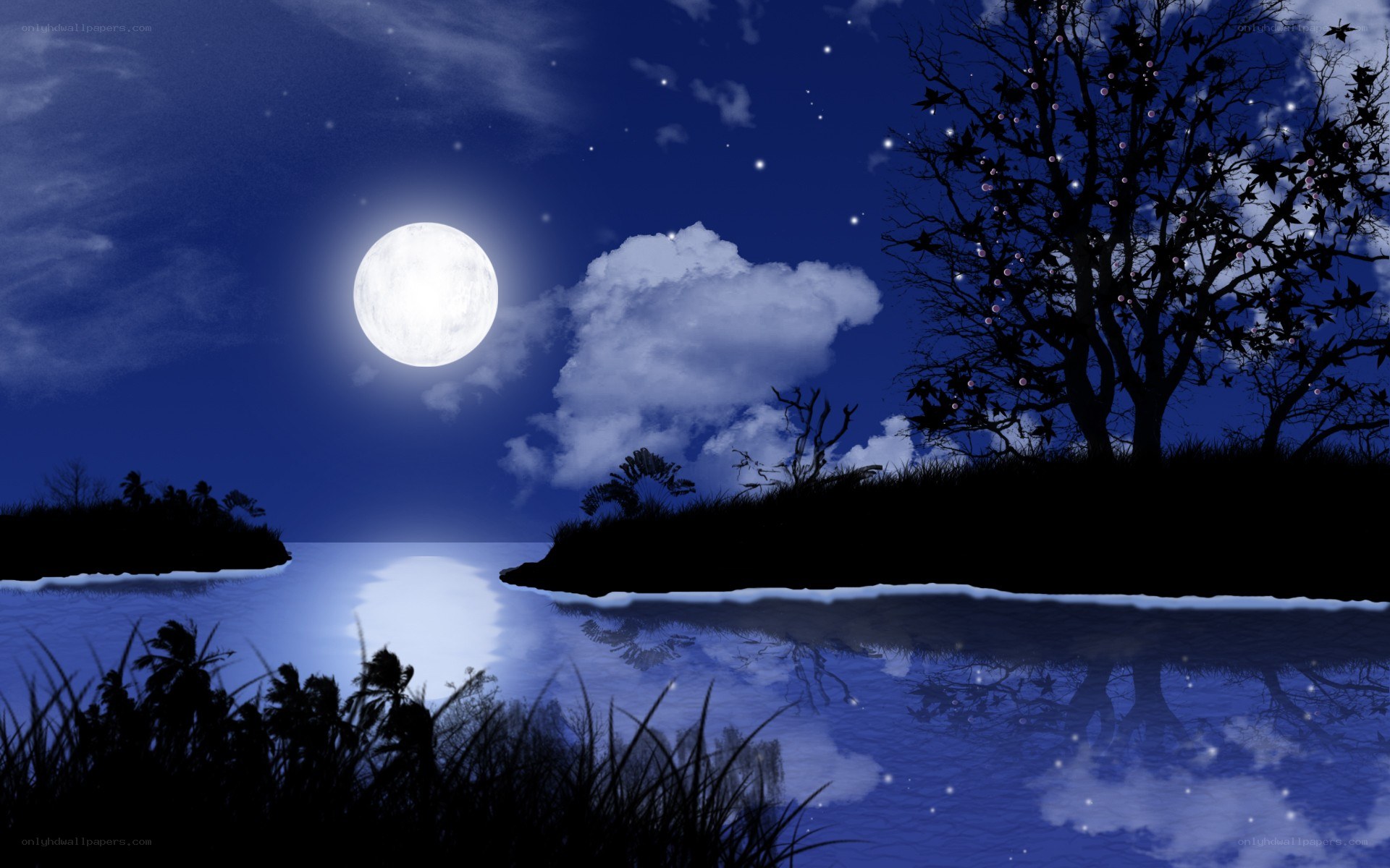 Moonlit night over calm water