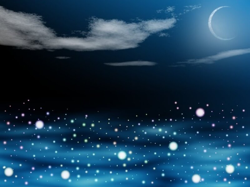 Moonlit night over sparkling water