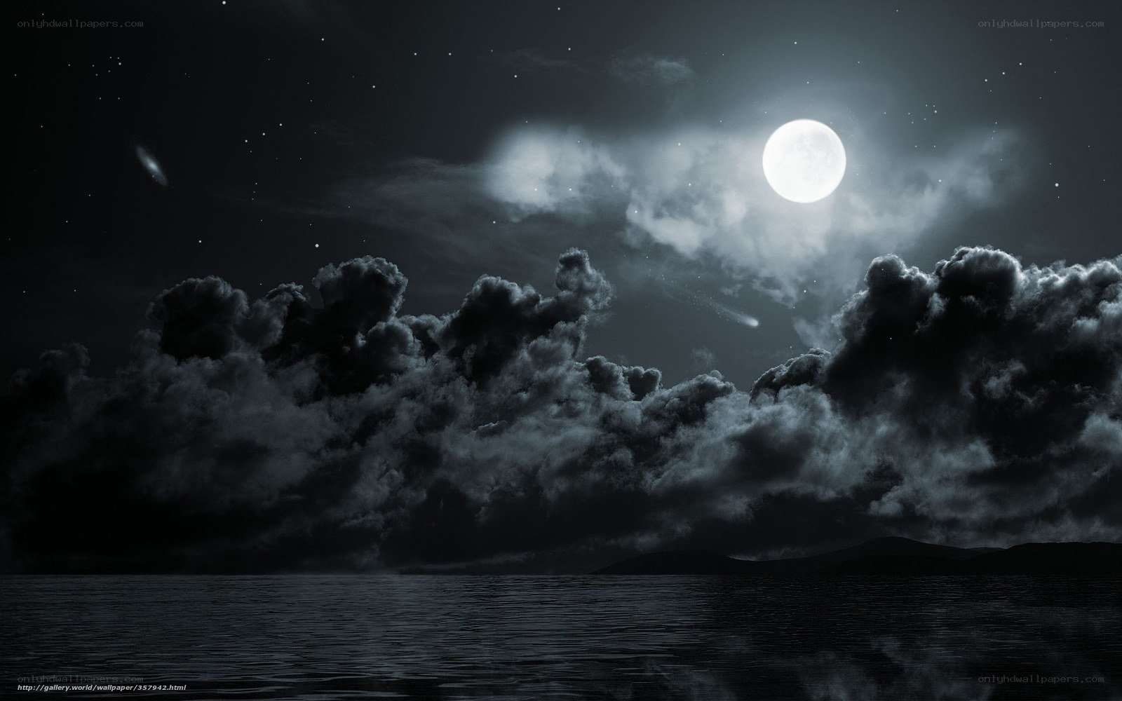 Moonlit night over the sea