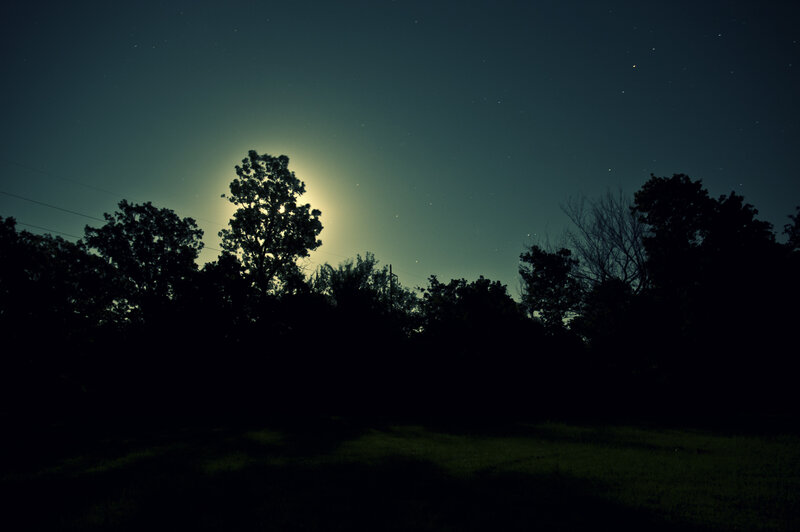 Moonlit night over trees