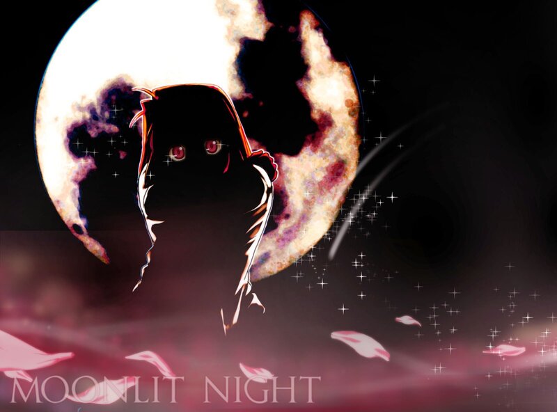Moonlit Night Silhouette