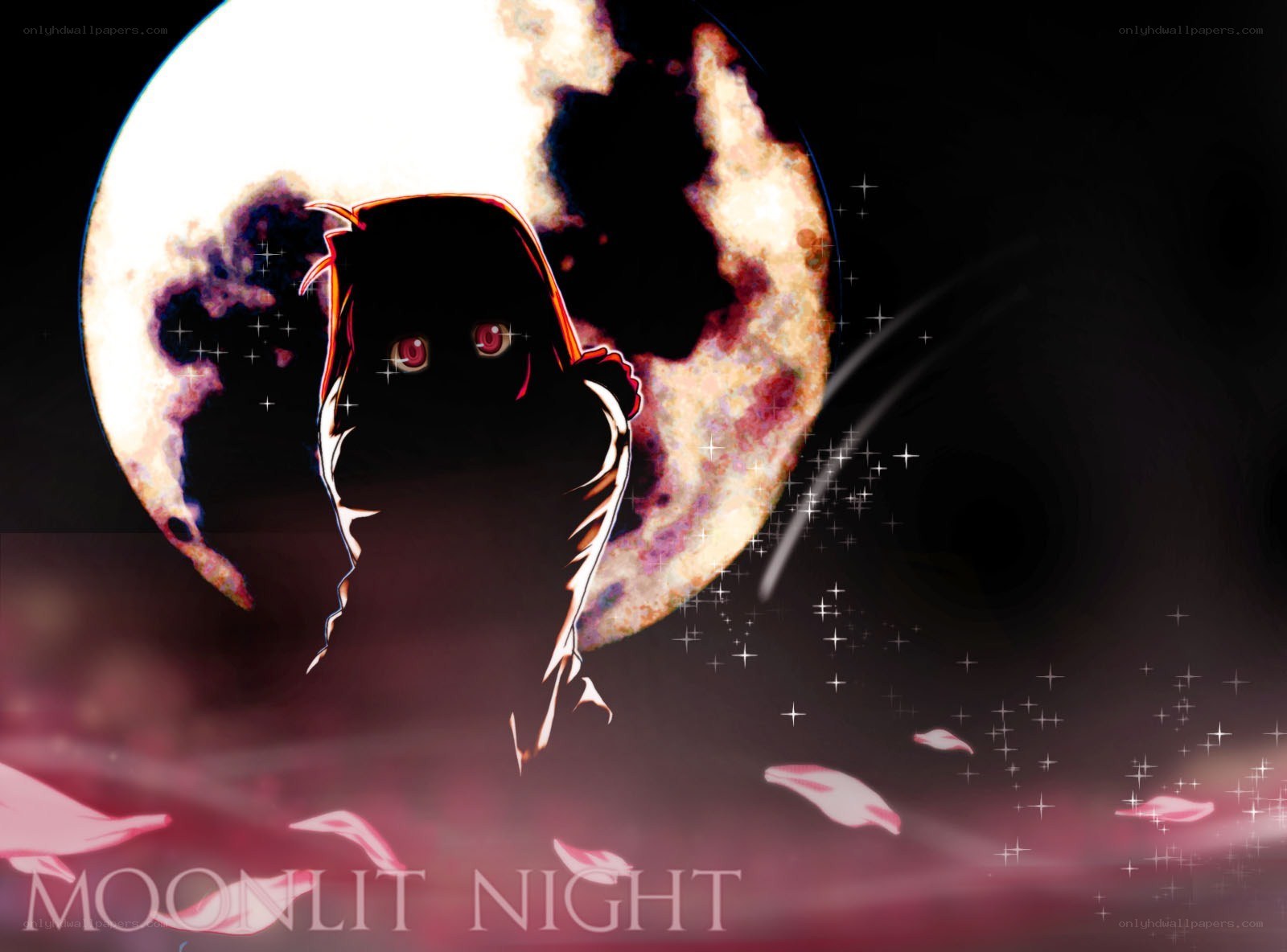 Moonlit Night Silhouette