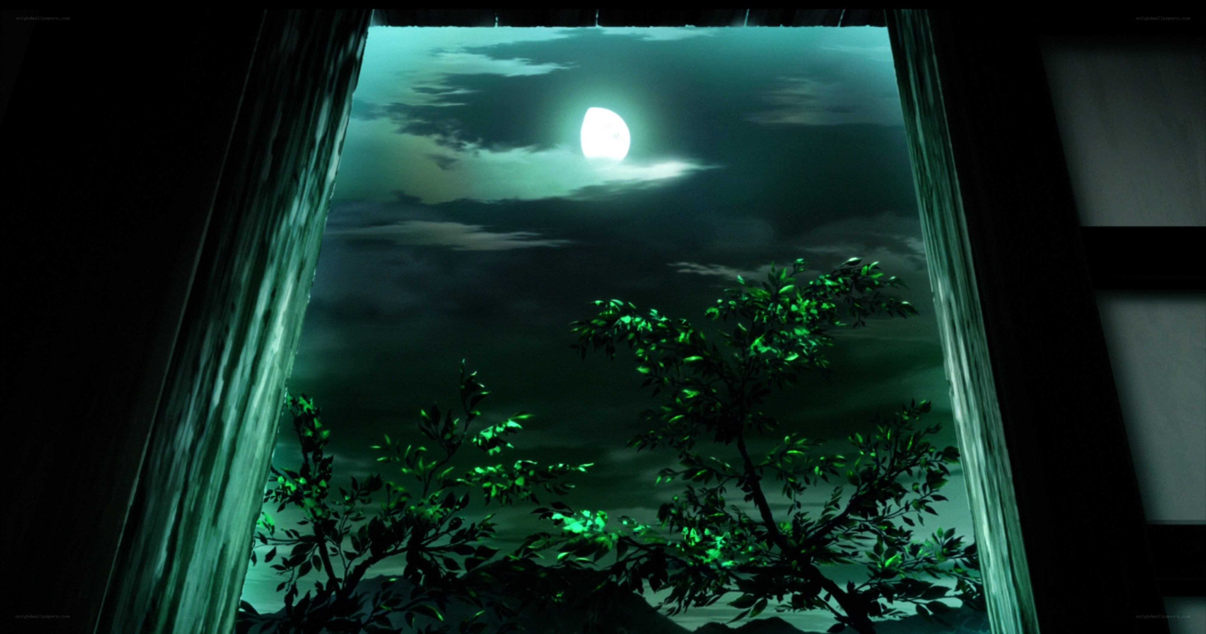 moonlit night through window