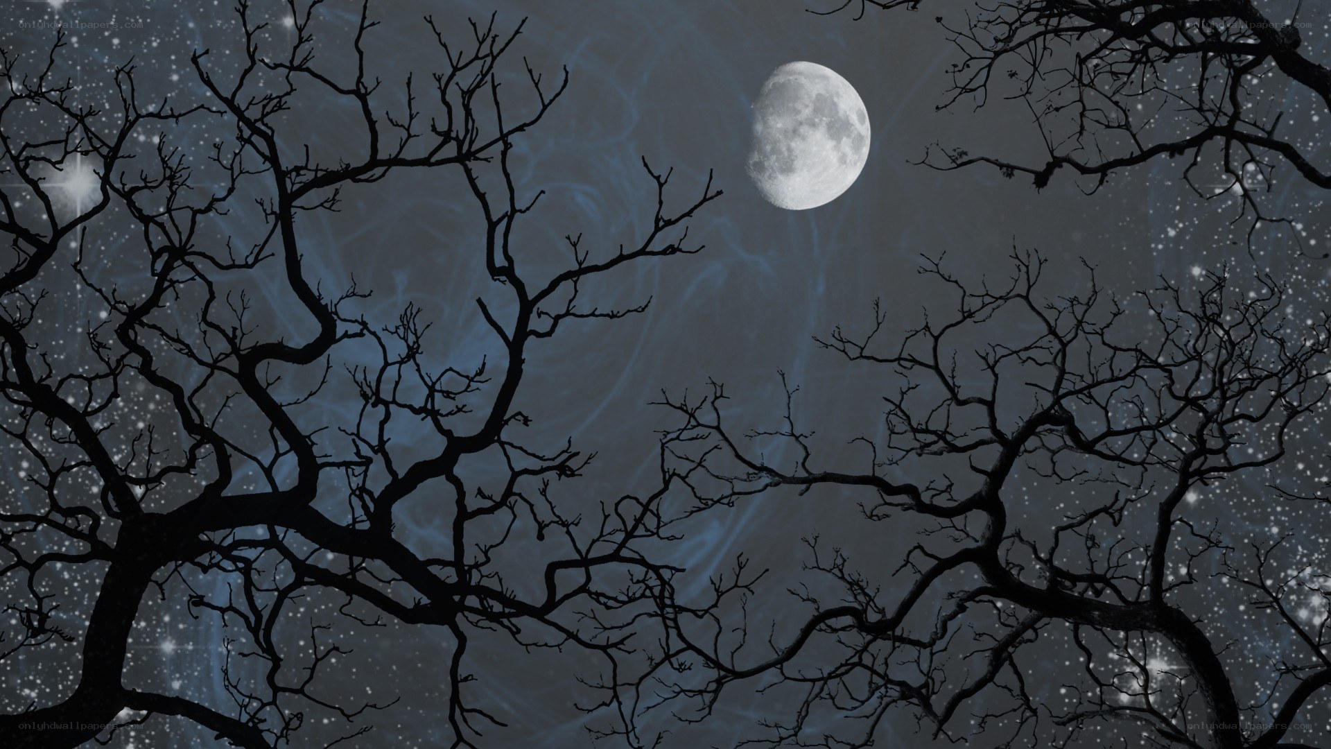 Moonlit night with bare trees