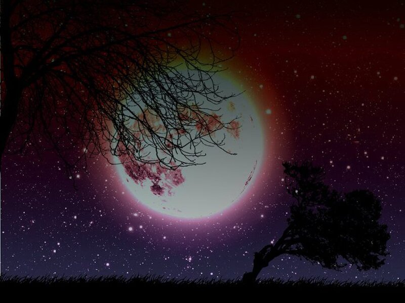 Moonlit night with bare trees