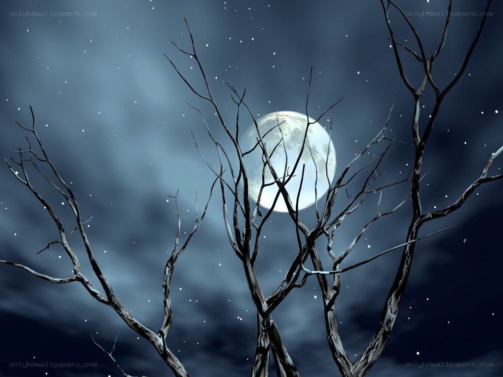 Moonlit night with bare trees
