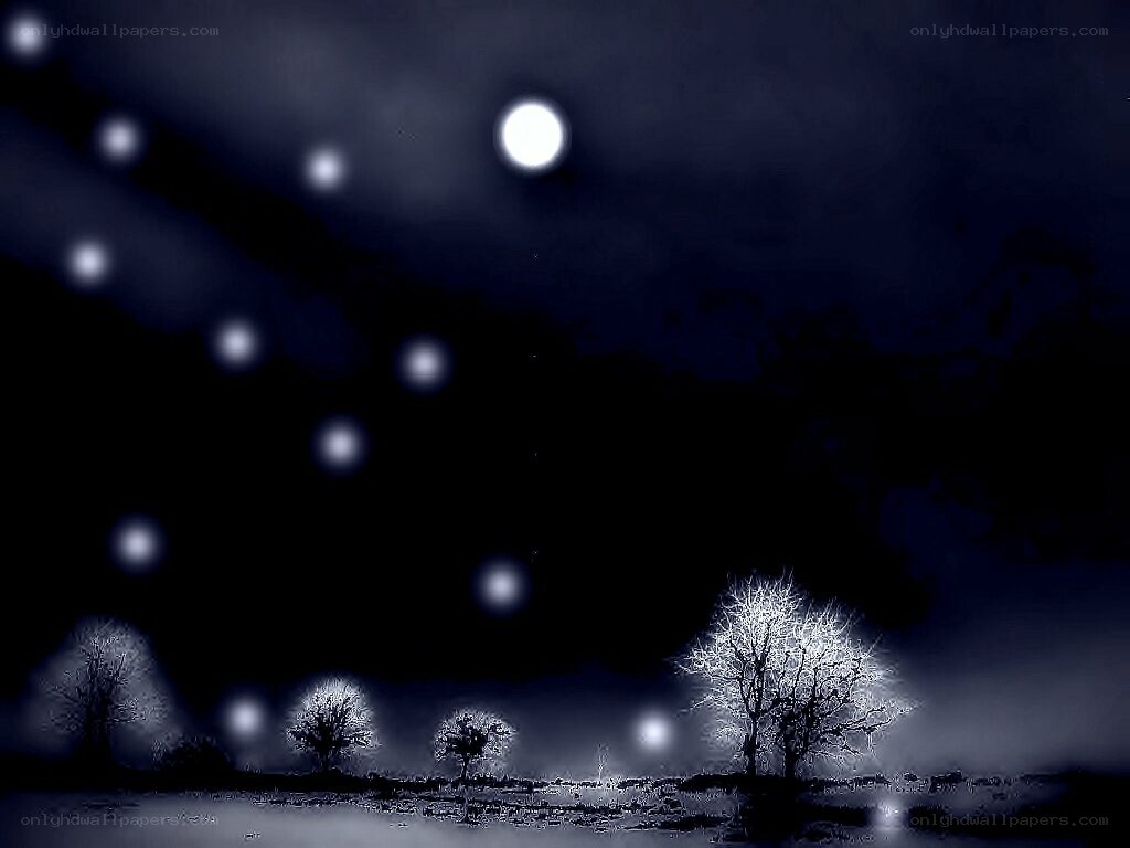 Moonlit night with bare trees