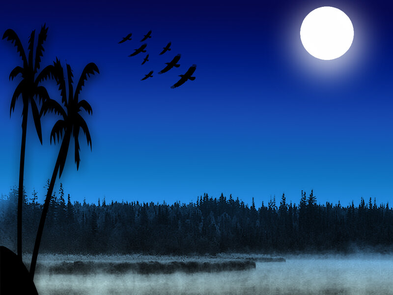Moonlit night with birds and palm trees