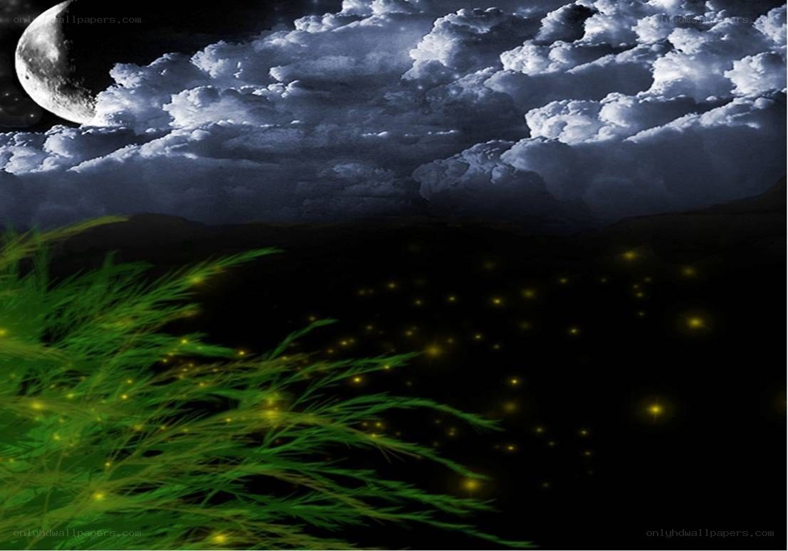 Moonlit night with fireflies