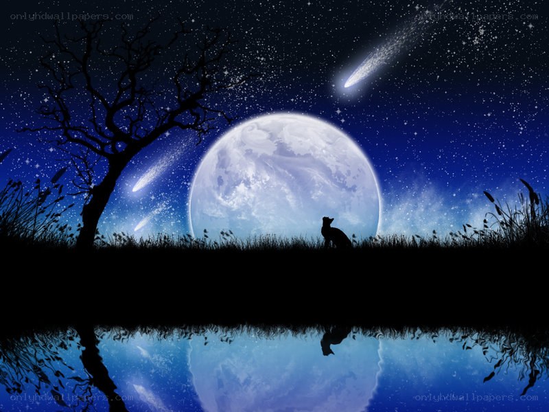 Moonlit night with fox and meteor