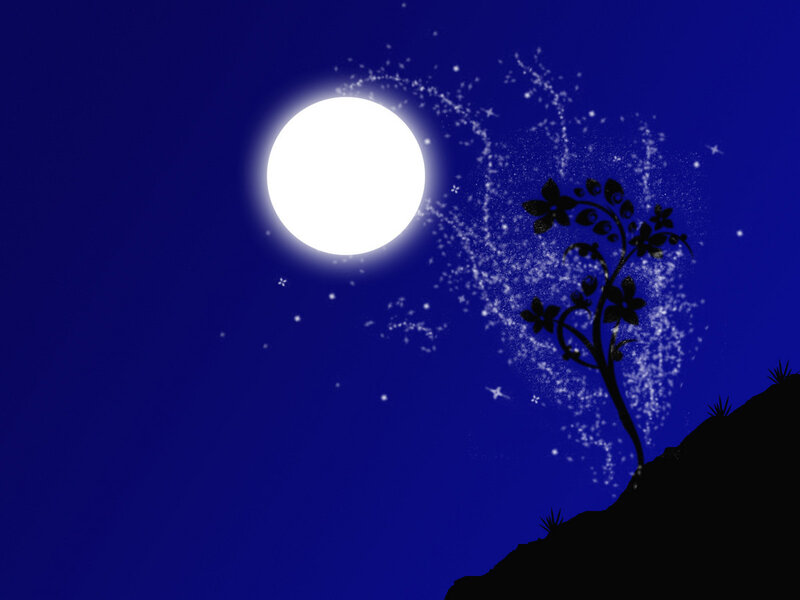 moonlit night with glowing tree