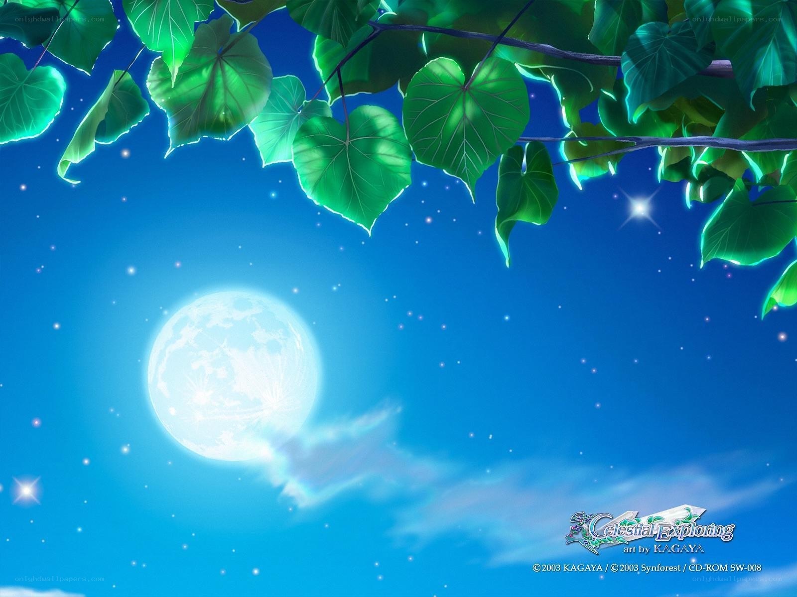 Moonlit night with green leaves