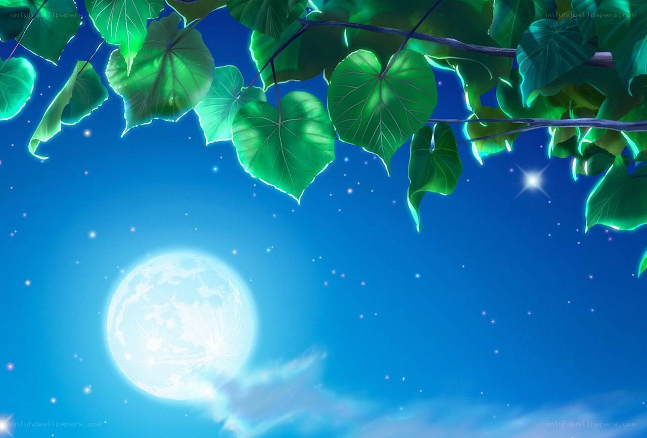 Moonlit night with green leaves