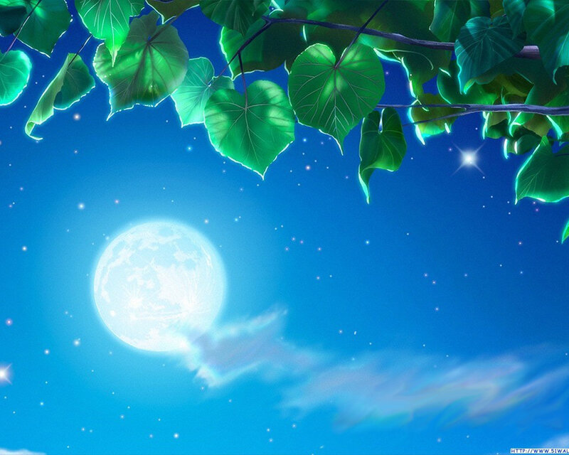 Moonlit night with green leaves