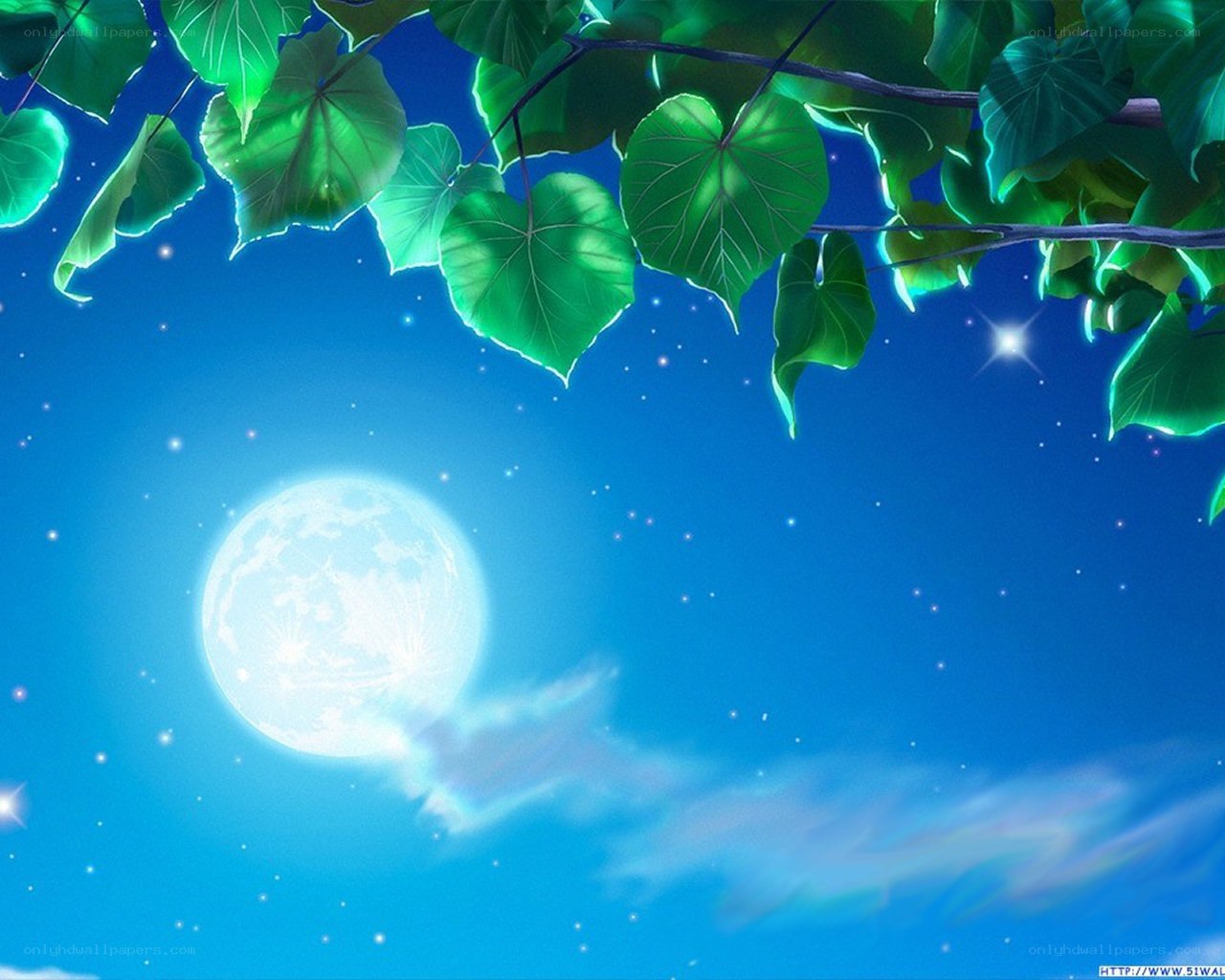 Moonlit night with green leaves